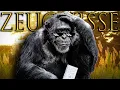 Download Lagu Zeugnisse sind der ENDGEGNER der Schulzeit