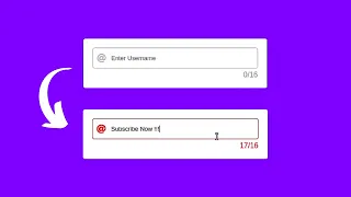 Limit Input Characters using HTML CSS JavaScript