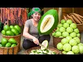 Download Lagu Harvesting giant late-season cabbages to sell at the market, cooking papaya for newborn piglets