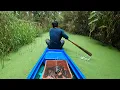 Lagu Thăm Luồn Lờ Sau 4 Ngày Ở Rừng Ngập Nước U Minh