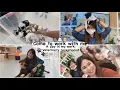 Come to work with me A day in my life as a veterinary receptionist