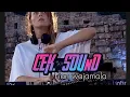 Download Lagu 🌴Lagu_ setia dalam diam wizibeker_cek sound terbaru 2023