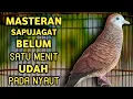 Download Lagu Suara Betina Birahi - Perkutut Betina Memanggil Jantan || The female turtle dove calls the male