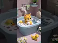 Download Lagu bangun tidur ku terus mandi #shortvideo #kucing #mandi