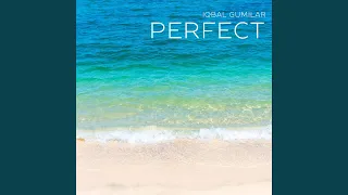 Download Perfect MP3