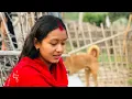 Download Lagu Last  ma lemon 🍋 challenge ❤️😊 ~Gaule system ma aachar banako #HemThatal #BinaCewa