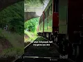 Aku suka kehidupan seperti ini! https://s.snackvideo.com/p/wndurB5B