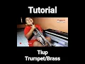 Download Lagu BAGAIMANA TIUP TROMPET YANG BENAR ?