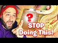 Ball Python Care Guide 2026 Complete Beginner Setup Care Tips