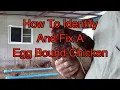 How To Identify And Fix An Egg Bound Chicken