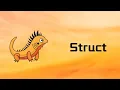 Zig Struct Tutorial 13