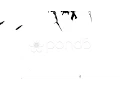 Paper Absorbs Ink Paint Stock Footage