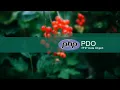 Part-4 PHP MySql PDO Tutorial Sql Delete Operation Using Bind Param Using mark As Parameter