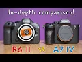 Canon R6 II vs Sony A7 IV - In-Depth Comparison