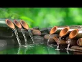 Relaxing Music Peaceful Music Insomnia Sleep Music Calming Music Meditation Music Sleep