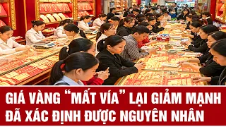 Giá vàng “mất vía” lại giảm mạnh, đã xác định được nguyên nhân