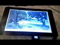 CCTV RTSP to html Server