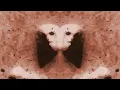 Muse - Knights of Cydonia [Lyrics]