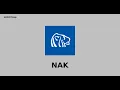 Northern Dynasty Minerals Ltd NAK Stock Analysis Investment Review Valuation SWOT more