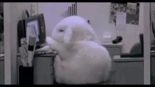 Baby Bunny at work GIF