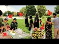 Download Lagu The Daryatir family is forced to celebrate Amir Mohammad's birthday without Ali's presence.