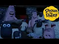 Download Lagu Shaun the Sheep 🐑 Pig Attack! - Cartoons for Kids 🐑 Full Episodes Compilation [1 hour]
