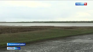 Дорогу между поселками Помурино и Элита в Москаленском районе начнут ремонтировать уже в мае