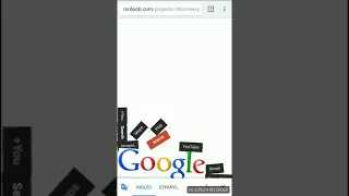 Pon Google Gravity y veras todo lo genial