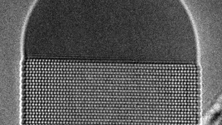 GaAs Nanowire Growth 