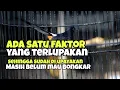 Download Lagu Rawatan murai batu harian pake Voer protein tinggi,Ef banyak tapi burung masih belum bongkar materi