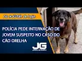 Lagu Polícia pede internação de jovem suspeito no caso do cão Orelha – Jornal da Gazeta – 04/02/2026