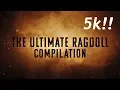 Download Lagu The Ultimate Ragdoll Compilation! 5k Celebration (Ragdoll Showcase)