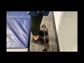 Standard PFA Components - Air Force Physical Fitness Assessment