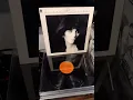 Download Lagu Linda Ronstadt -\