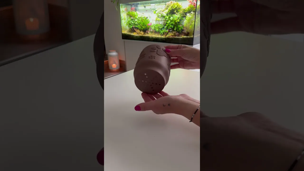 PAWFECT PLANTER video thumbnail