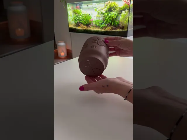 PAWFECT PLANTER  video thumbnail