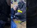 Download Lagu Gorilla Best Friend