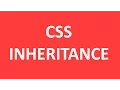 Punjabi Revolution tutorial CSS Inheritance concept