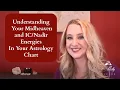 Understanding Your Astrology Midheaven and Energies In Your Astrology Chart