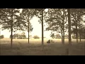 Mammal Hands - Boreal Forest (Wanderlust)