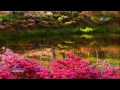 Download Lagu EDWARD SIMONI - Enchanted World (amazing pan flute music)