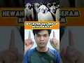 Download Lagu HEWAN TERLIHAT SERAM KETIKA MALAM