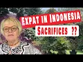 Download Lagu Verborgen offers (echt waar?) - Expatleven in Indonesië