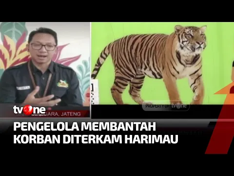 Kronologi Pawang Harimau di Banjarnegara Tewas Diterkam