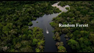 Decision Tree and Random Forest Using Python