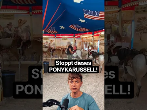 Stoppt dieses Ponykarussell 🚨