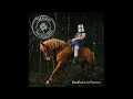 Steve N' Seagulls - November Rain (Guns N' Roses cover)