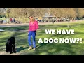 We love dog sitting and gay film festivals east london vlog Paulina King