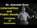 Chapters 10 and 11 Externalities and Public Goods