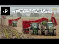 Lagu Kartoffeln Verladen XXL! Ernte in Brandenburg || JP Agrar